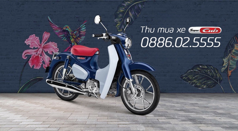 Thu mua xe máy Honda Super Cub, thu tại nhà