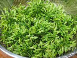 Bông thiên lý  VG 200gr/hộp