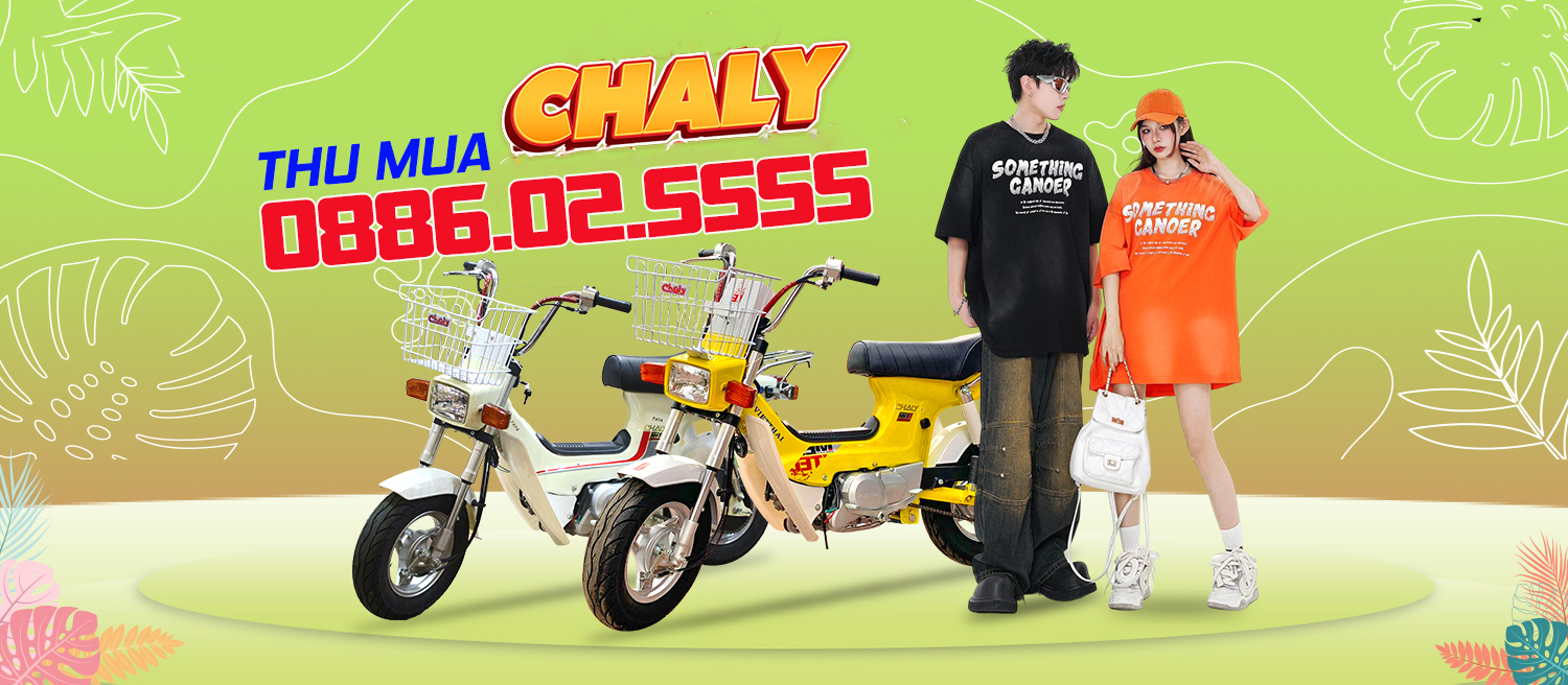 Thu mua xe máy Chaly cũ, thu xe cũ hỏng