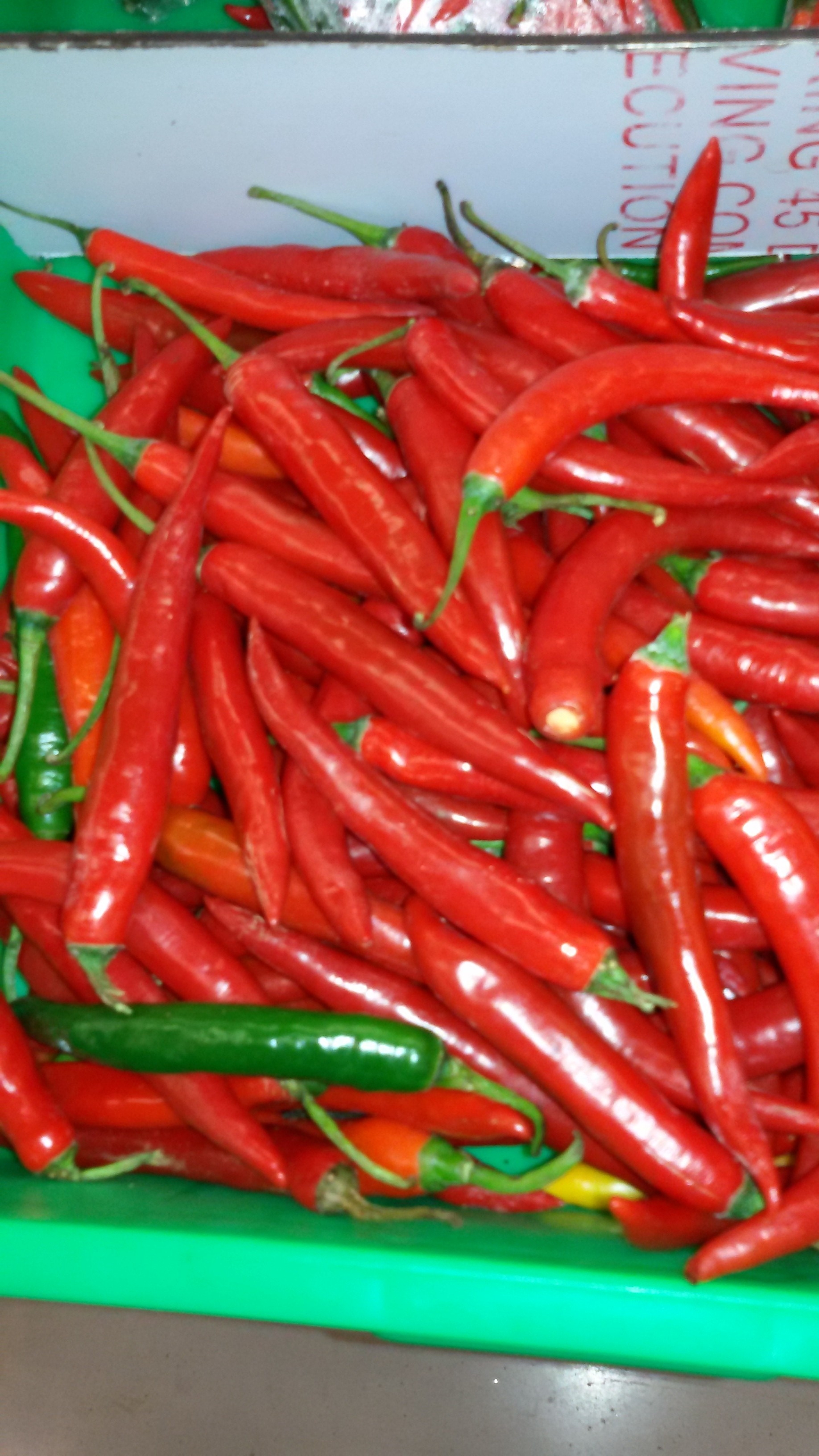 Ớt hiểm  tươi 100gr/túi