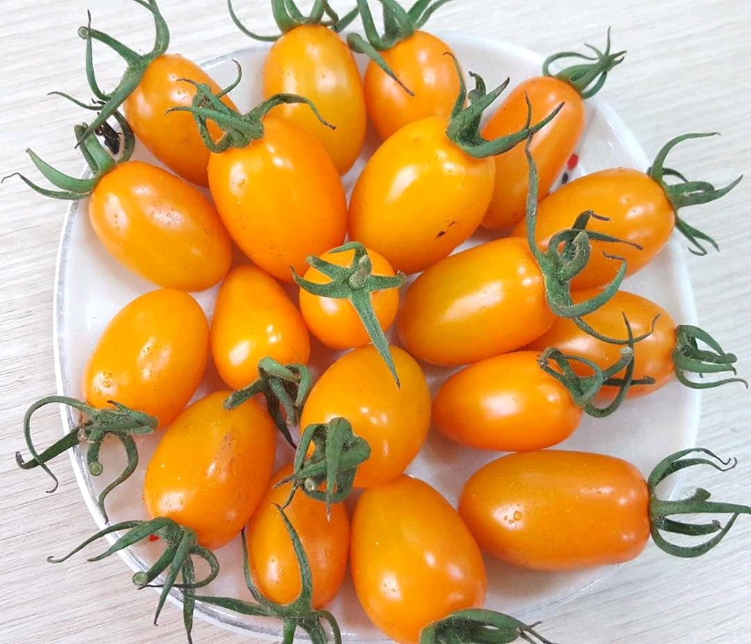 Cà trái cây 500 gr/hộp