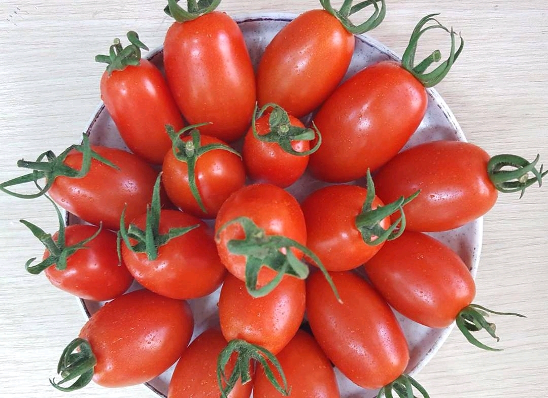 Cà trái cây 500gr/hộp