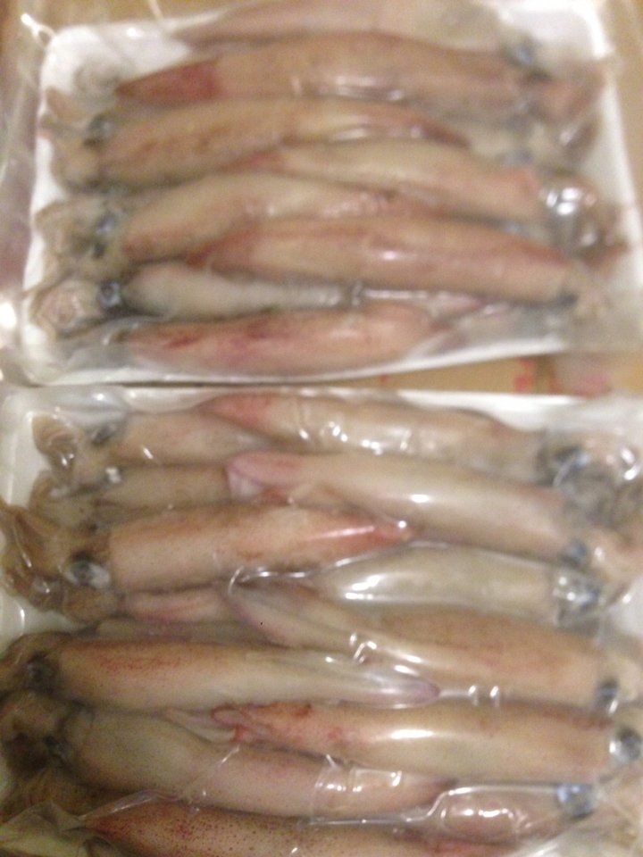 Mực ống  trứng