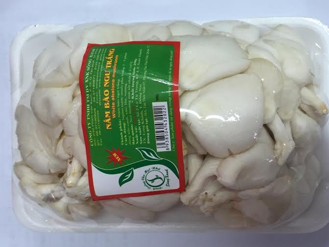 Nâm Bào Ngư Trắng